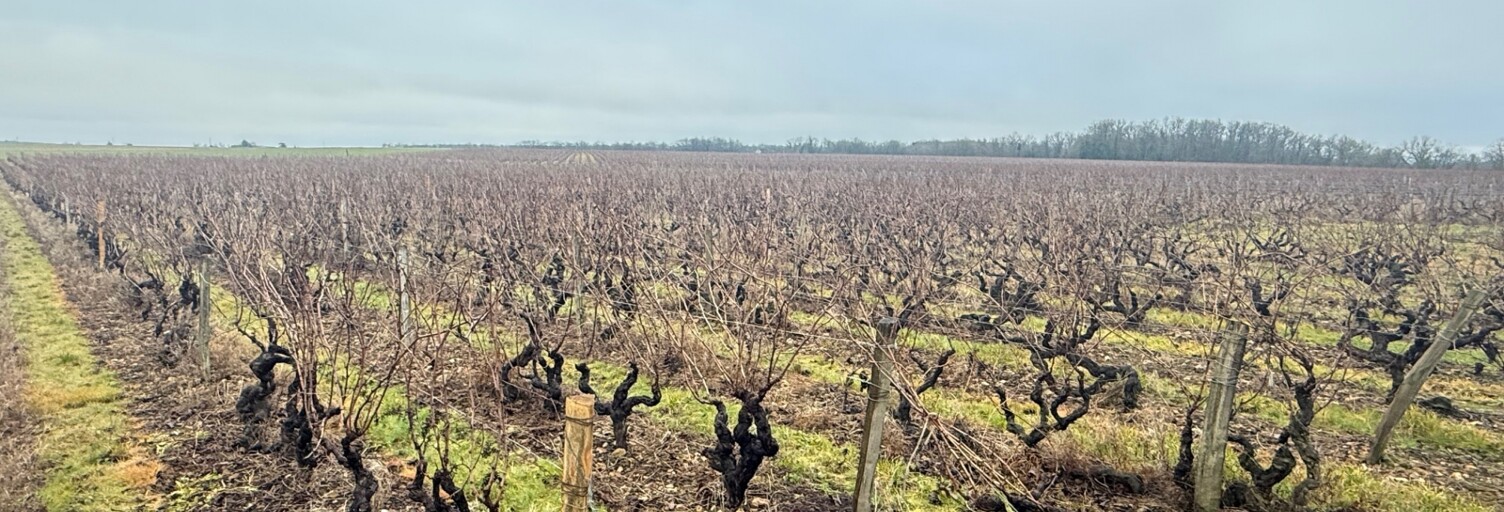 Terrain  24342 m² à vendre à Vernou-sur-Brenne (37210)