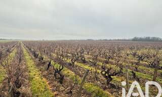 Terrain  39692 m² à vendre à Vernou-sur-Brenne (37210)