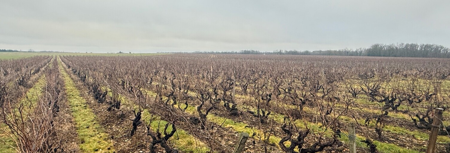 Terrain  39692 m² à vendre à Vernou-sur-Brenne (37210)