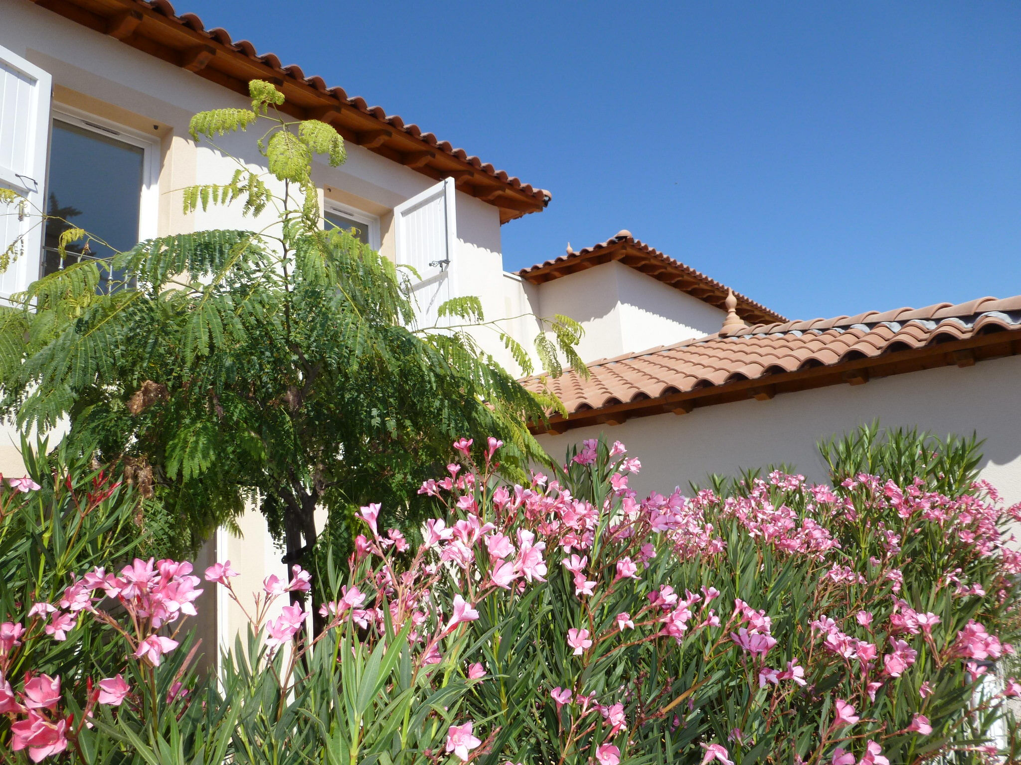 Villa / Maison  T4 à louer Montpellier 34000