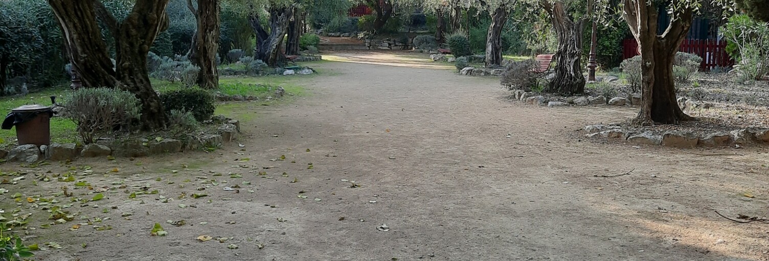 Photo N° 2
