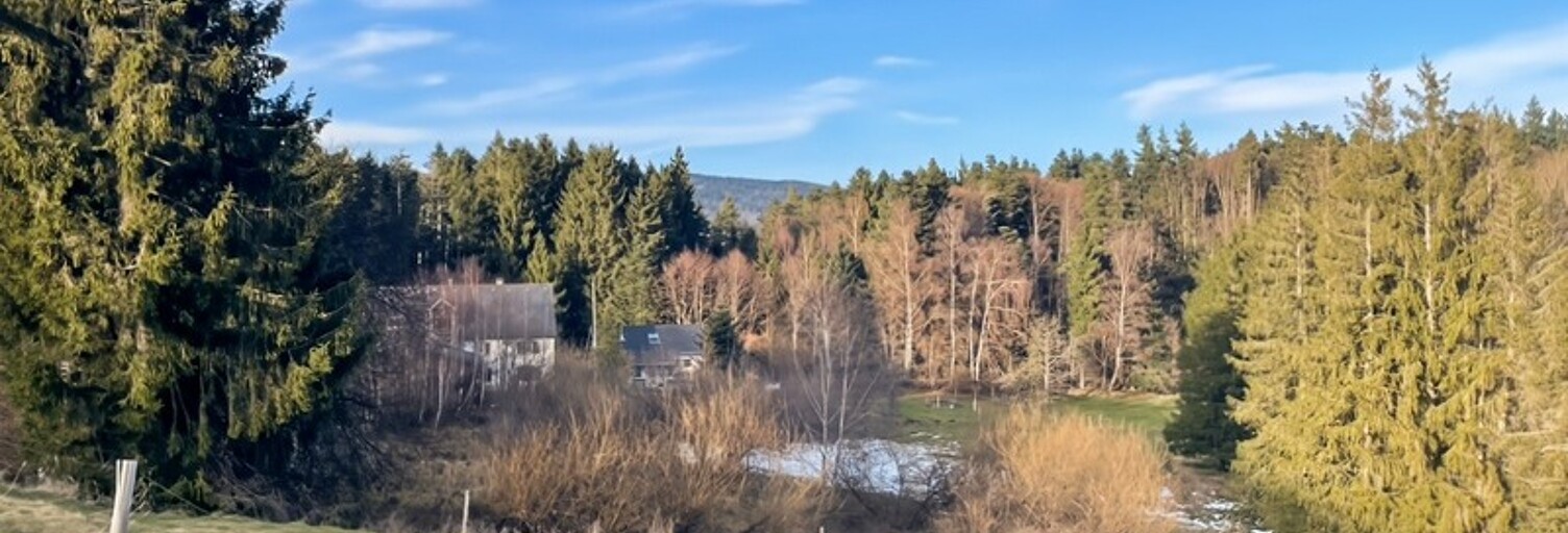 Maison 10 Pièces 300 m² à vendre à Orbey (68370)