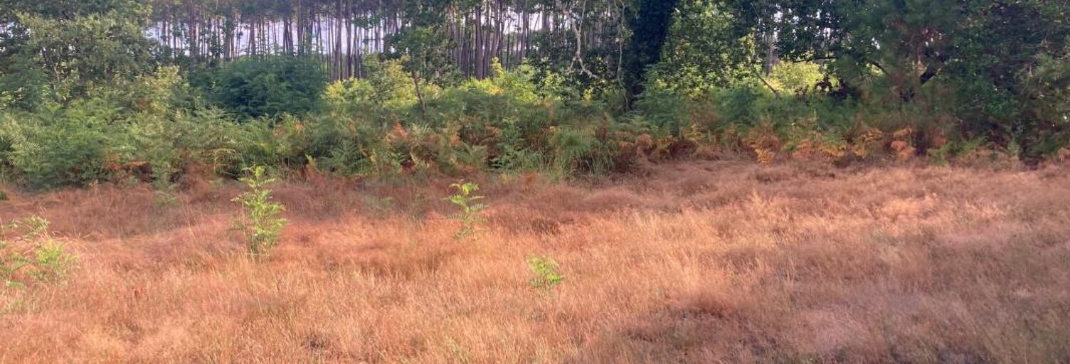 Terrain 500 m² à construire Salles (33770)