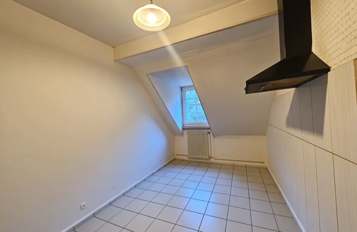 Au centre d’Altkirch, poutre apparente, poêle pellet , jardin — photo 2