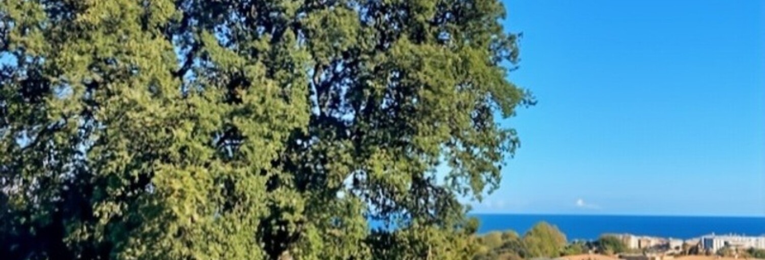 Appartement 3 Pièces 58 m² à vendre à San-Nicolao (20230)