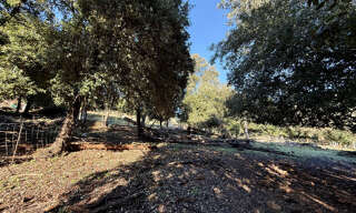 Terrain  1164 m² à vendre à Serriera (20147)