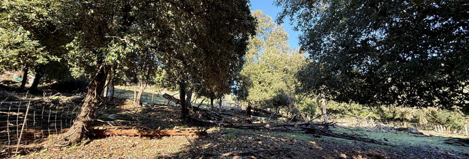 Terrain  1164 m² à vendre à Serriera (20147)