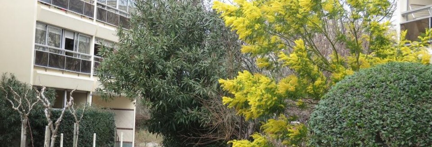 Appartement 4 Pièces 84 m² à louer à Montpellier (34000)