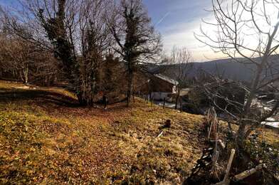 Appartement 1 pièces 470 €