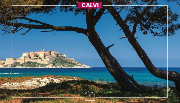 Appartement 2 pièces  à vendre Calvi 20260