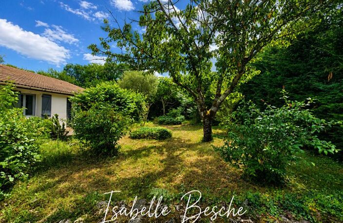 Baron- Maison familiale 4 chambres- Plain pied- Grand terrain arboré — photo 4