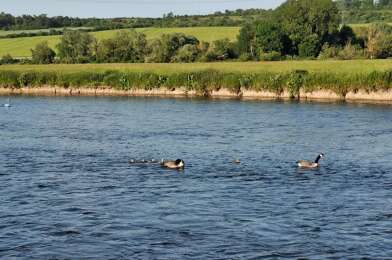 Maison 5 pièces 375000 €