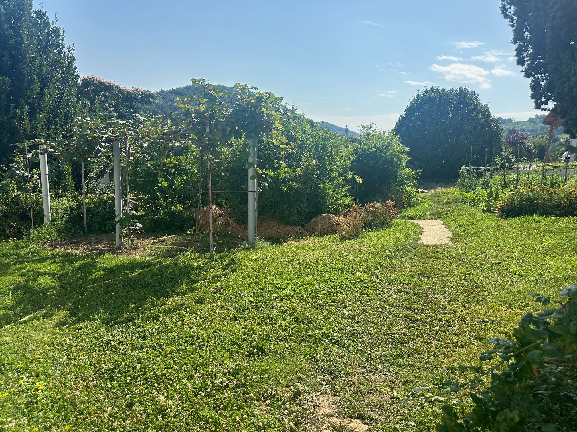 Agence immobilière de Mikit Lyon-Sud - Proprilogis