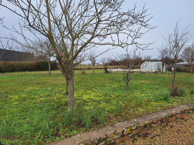 Secteur Prisé — photo du bien