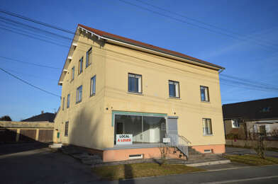 Appartement 3 pièces 590 €