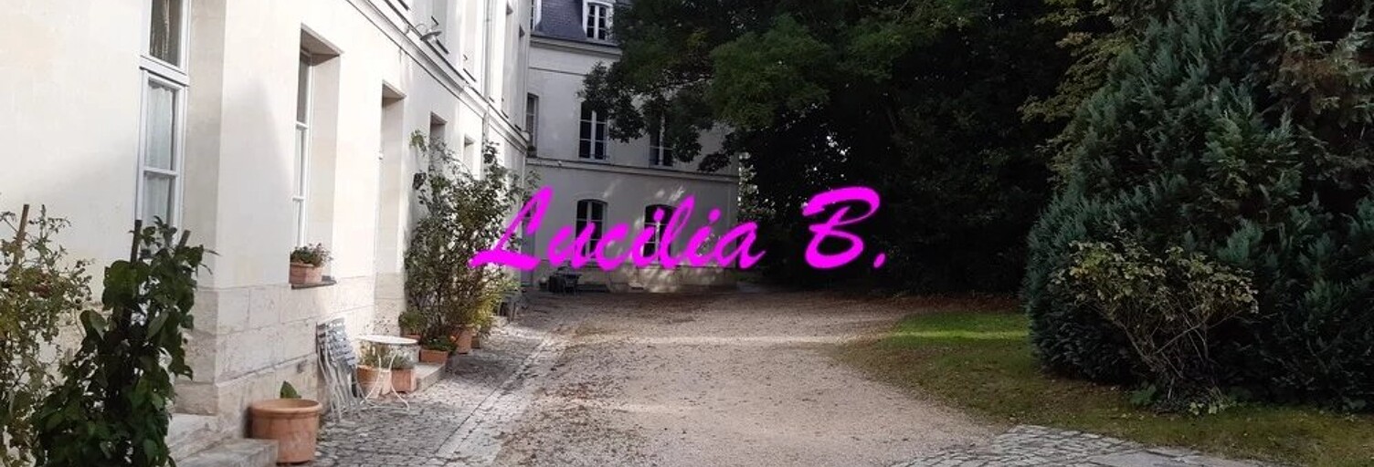 Appartement 3 Pièces 83 m² à louer à Tours (37000)