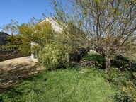 Spacieuse maison familiale avec potentiel — photo 3