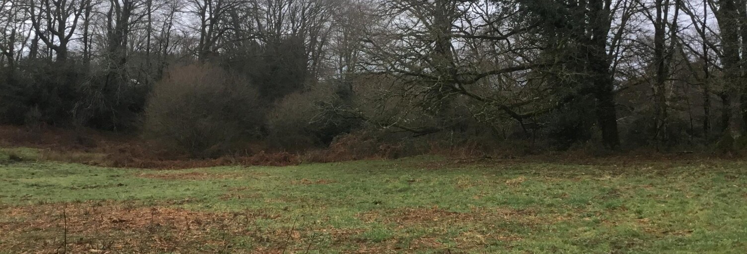 Terrain  4630 m² à vendre à Bonnac-la-Côte (87270)