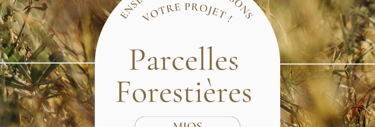 Terrain  14174 m² à vendre à Mios (33380)