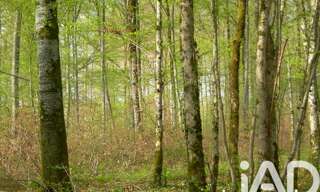 Terrain  3058 m² à vendre à Saint-Germain-de-Grave (33490)