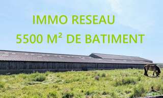 Immeuble  5500 m² à vendre à Saint-Hilaire-de-Riez (85270)