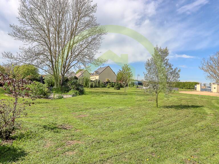 Terrain — photo 1