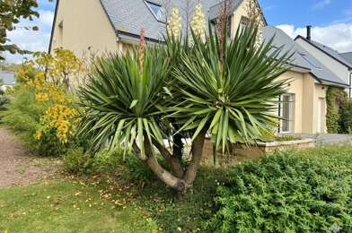 Maison 5 pièces 483600 €