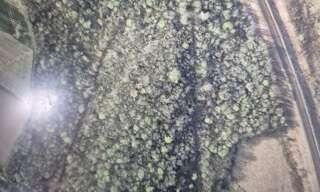 Terrain  137452 m² à vendre à Citry (77730)