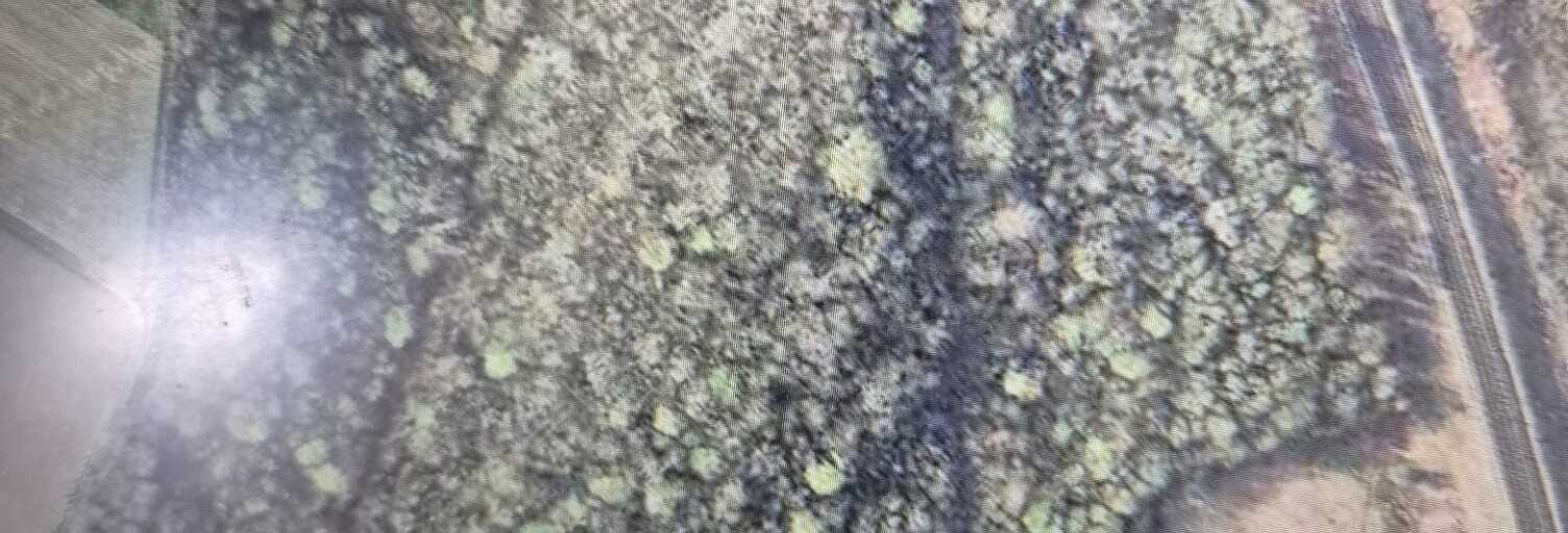 Terrain  137452 m² à vendre à Citry (77730)