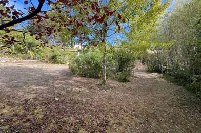 Terrain  226900 €