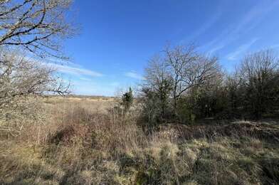Terrain  44000 €