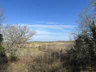 Terrain à bâtir de 0 pièces principales — photo 3