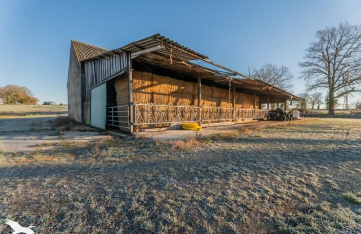 Propriété Agricole de 9 pièces principales — photo 4