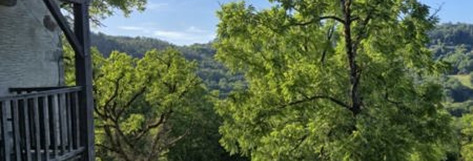 Maison 8 Pièces 180 m² à vendre à Argentat-sur-Dordogne (19400)