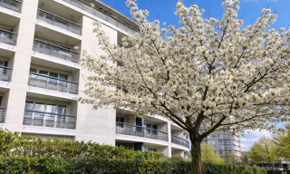 Appartement 2 Pièces 49 m² à louer à Issy-les-Moulineaux (92130)