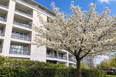 Appartement 2 pièces 1390 €