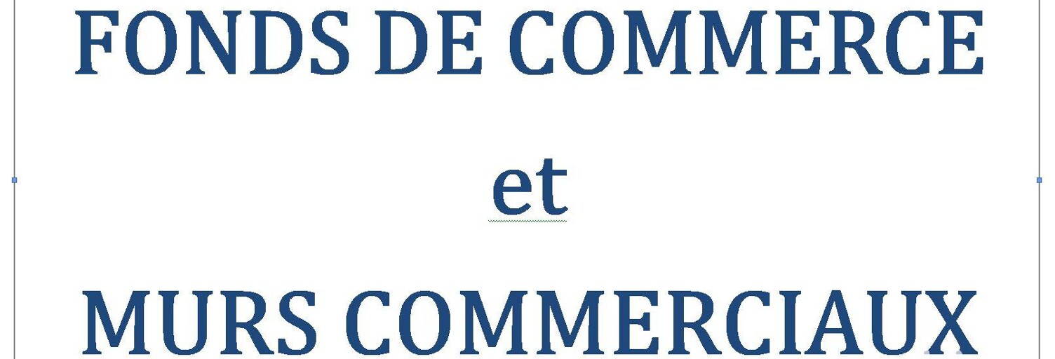 Commerce  650 m² à vendre à Revel (31250)