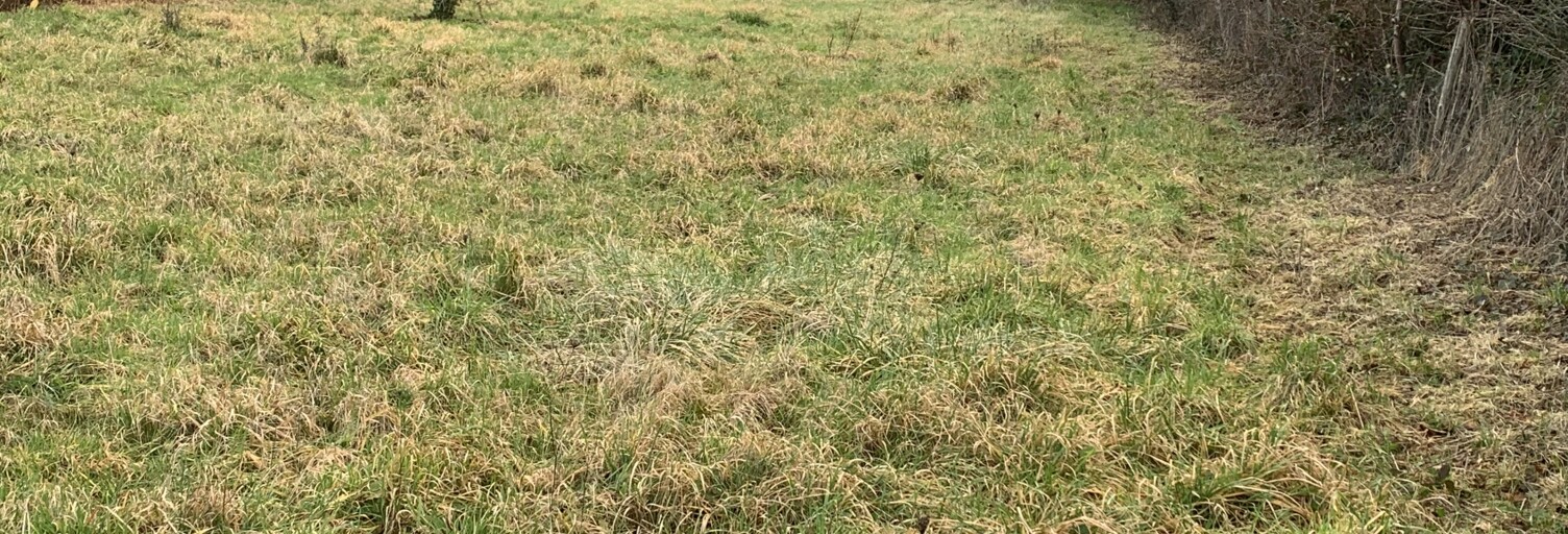 Terrain  1687 m² à vendre à Guécélard (72230)