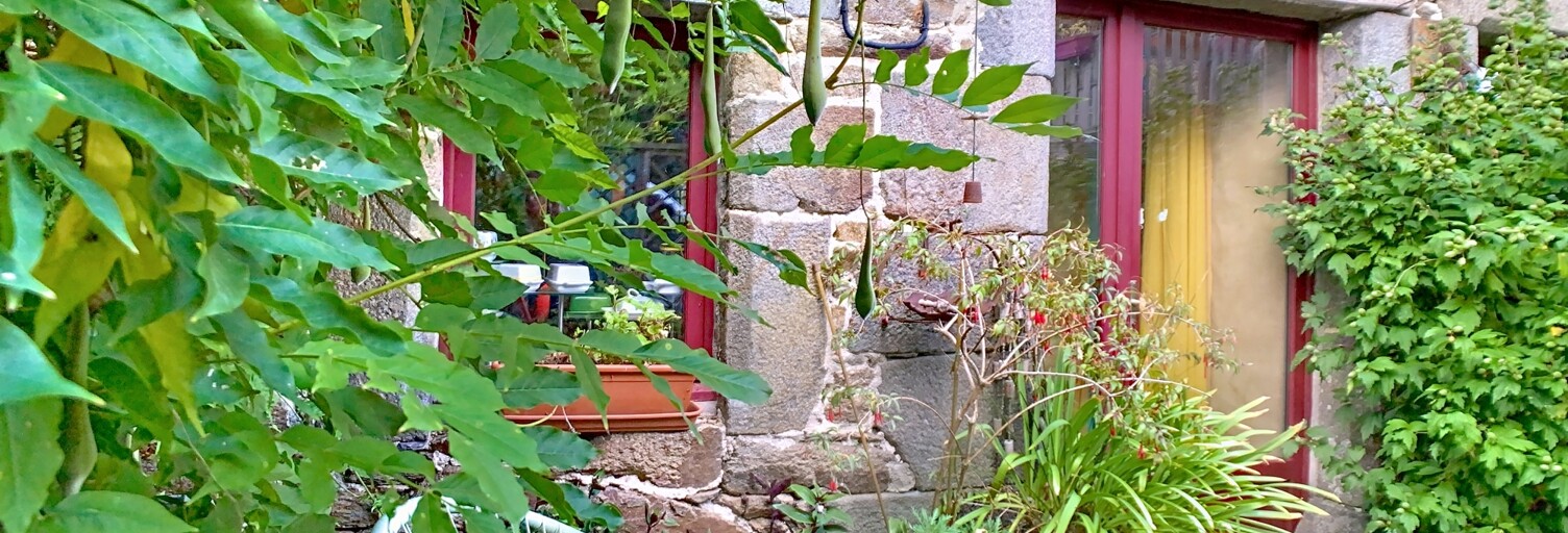 Photo N° 2