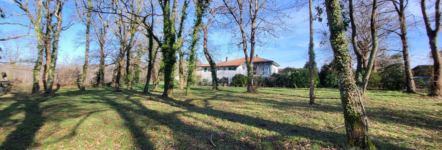 Maison 12 Pièces 260 m² à vendre à Saubrigues (40230)