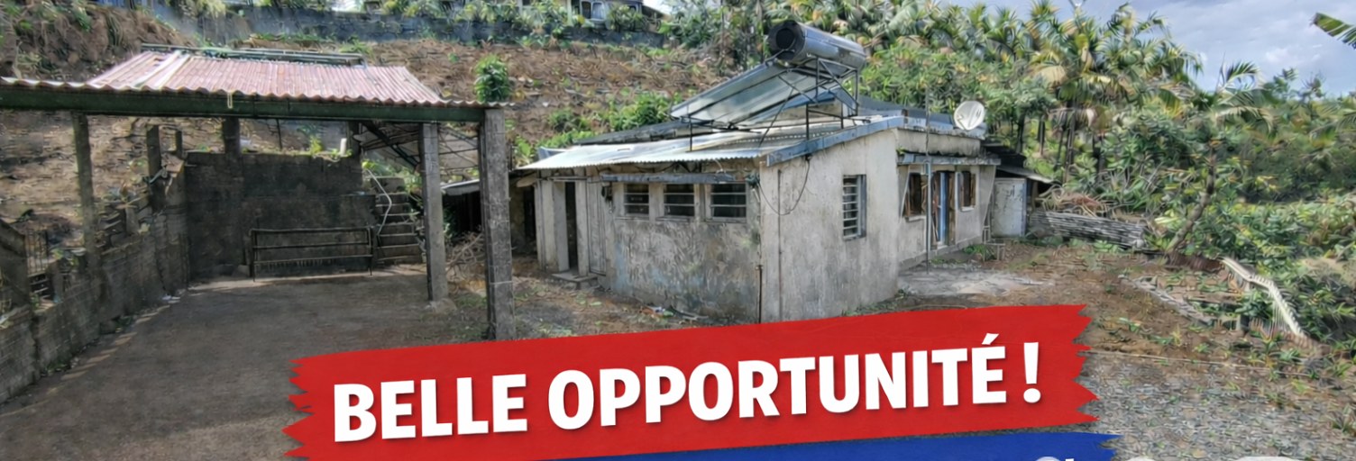 Maison 3 Pièces 70 m² à vendre à Petite-Île (97429)