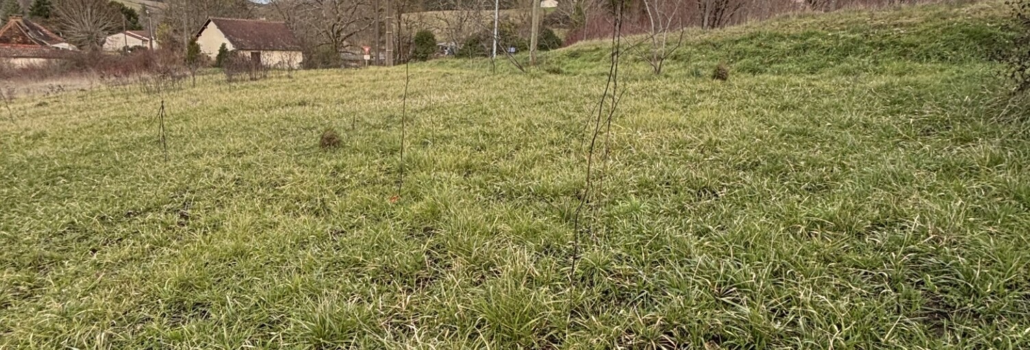 Terrain  2276 m² à vendre à Saint-Crépin-d'Auberoche (24330)