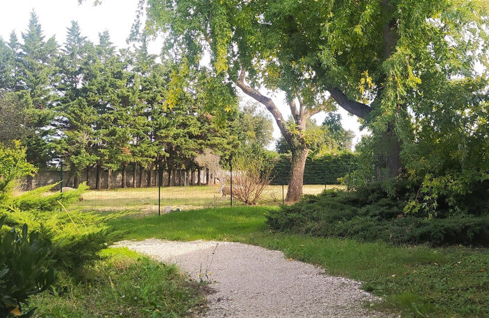 Maison d'architecte de prestige- 210 m2 - Parcelle arborée 2 — photo 4