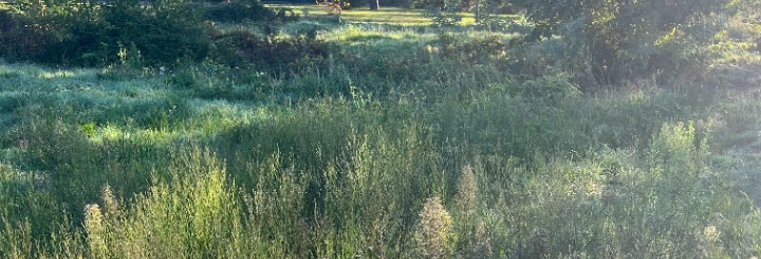 Terrain  600 m² à vendre à Cestas (33610)