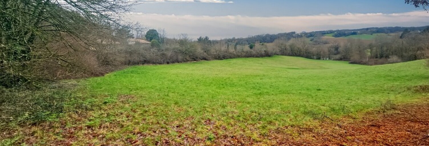 Terrain  23465 m² à vendre à Saint-Caprais-de-Lerm (47270)