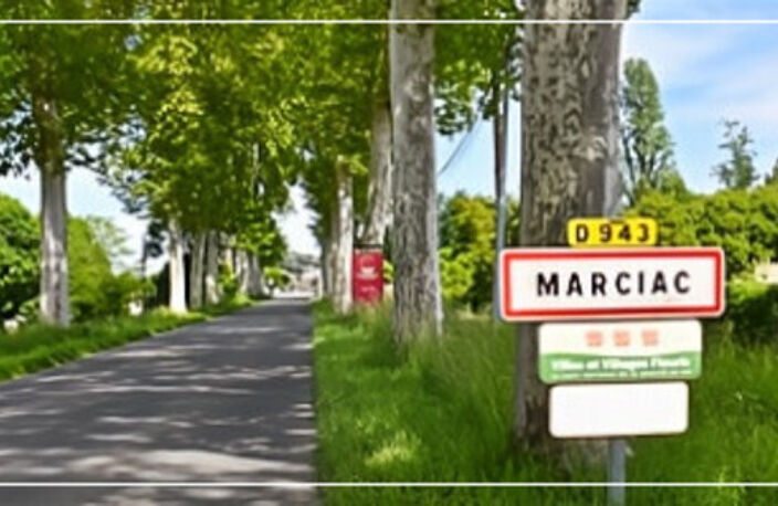 BIEN RARE - LA PENICHE DE MARCIAC (32) BAR-RESTAUANT-EVENEMENTIEL+ LOGEMENT POSSIBLE — photo 5