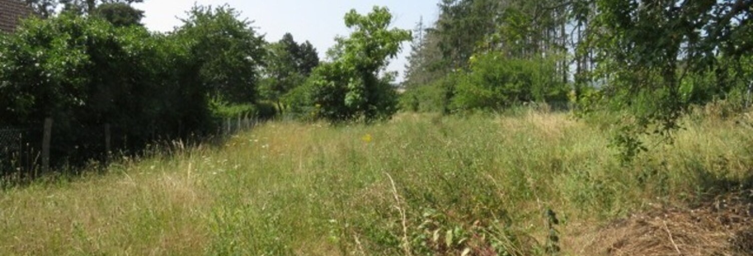 Terrain  1935 m² à vendre à Guilly (36150)