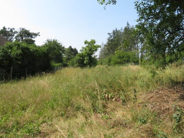 Indre (36), à vendre GUILLY terrain — photo 1