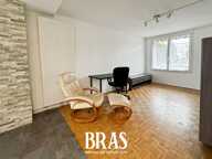 REZE - PONT ROUSSEAU - T1 BIS 42 M² + CAVE — photo 3