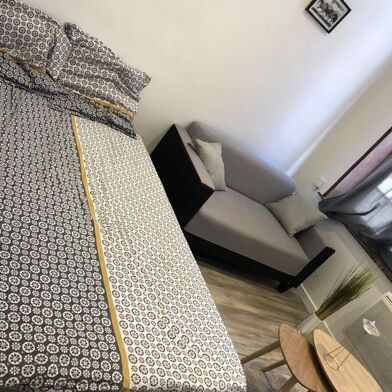 Appartement 1 pièces 490 €